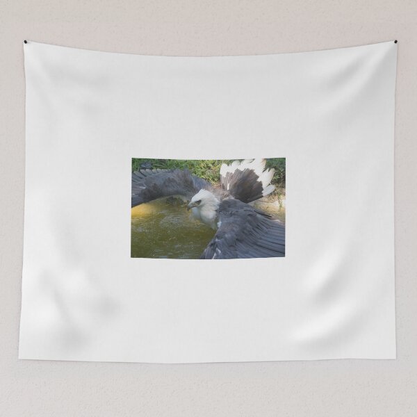 Item preview, Sea Eagle Dip designed and sold by byronbackyard.