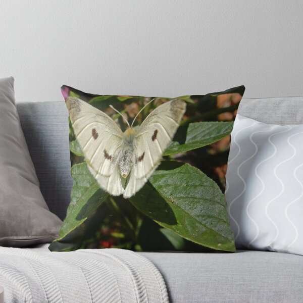 Item preview, Landed designed and sold by herbspics.