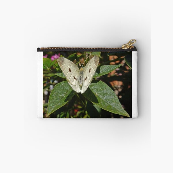 Artikelvorschau, Landed entworfen und verkauft von herbspics.