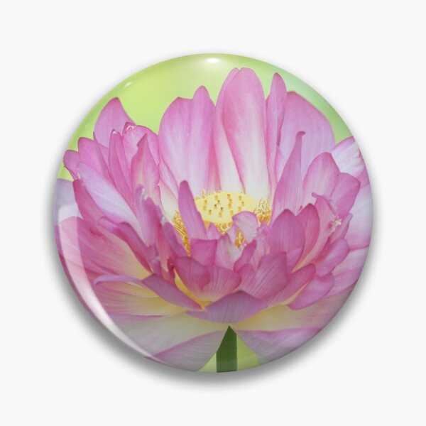 Item preview, Holy Love Lotus designed and sold by TJ Devadatta Best.