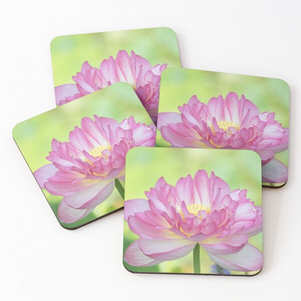 Item preview, Holy Love Lotus designed and sold by TJ Devadatta Best.