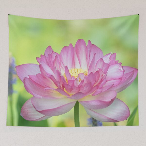 Item preview, Holy Love Lotus designed and sold by TJ Devadatta Best.