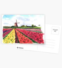 Holland flowers Postcards