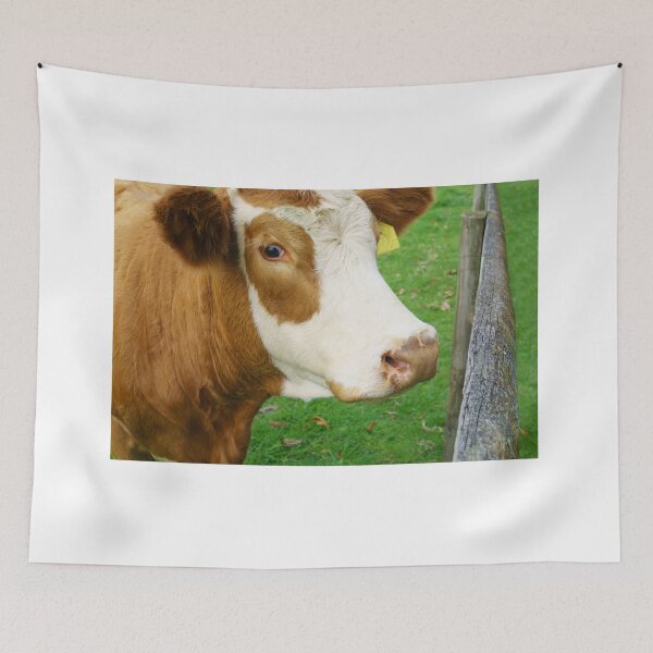 Item preview, Hereford beef cattle designed and sold by Brian Scantlebury.