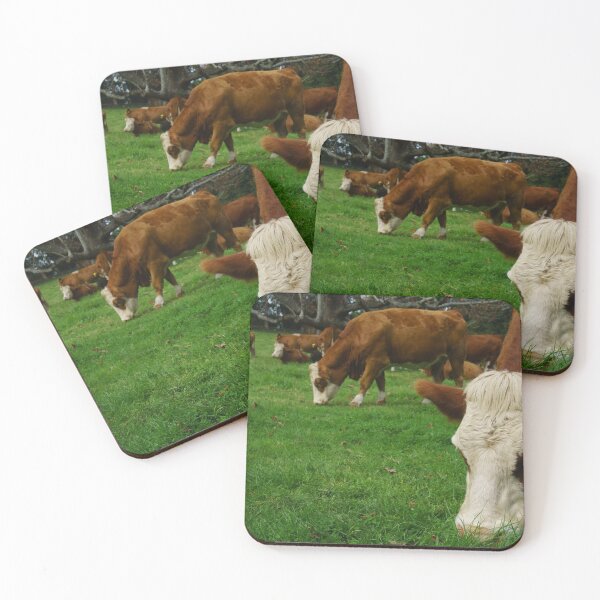 Item preview, Cattle grazing in typical agricultural image in New Zealand. designed and sold by Brian Scantlebury.