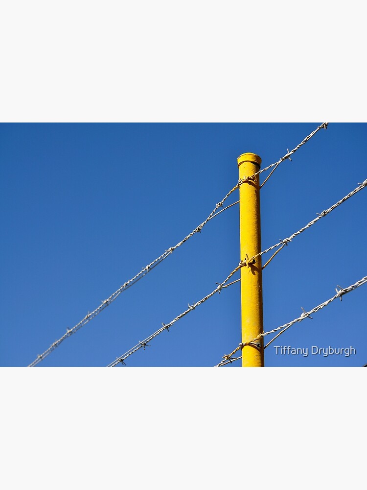 Yellow on Blue by Tiffany