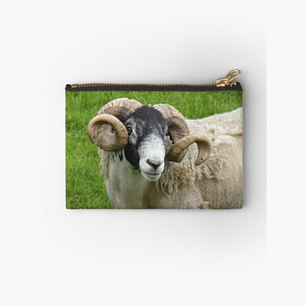 Item preview, Horned Sheep designed and sold by irenicrhonda.