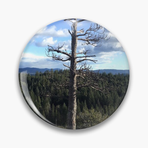 Item preview, Old Tree  designed and sold by blackbird626.
