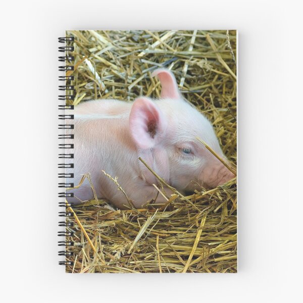 Item preview, Drowsy Piglet designed and sold by Creatively Colette’s .