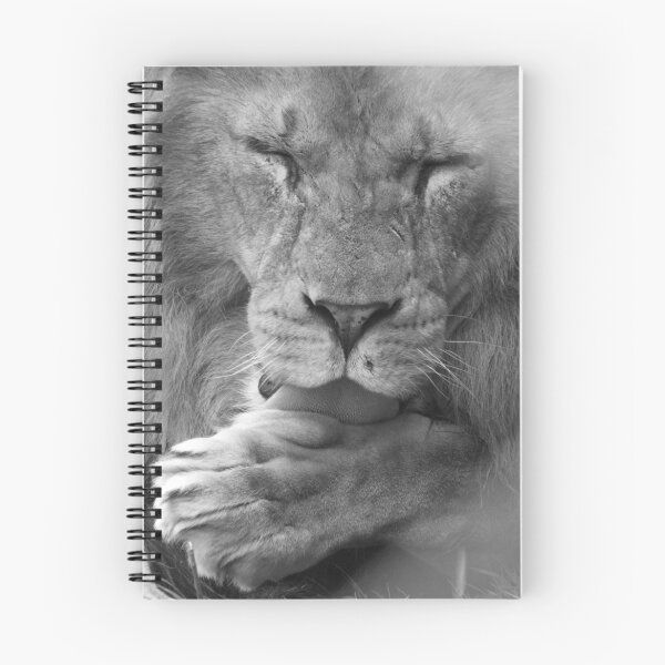 Item preview, Lavado posterior a la cena de Jasiri designed and sold by Bramble.