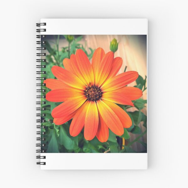 Item preview, Bright flower designed and sold by TatumDesign213.