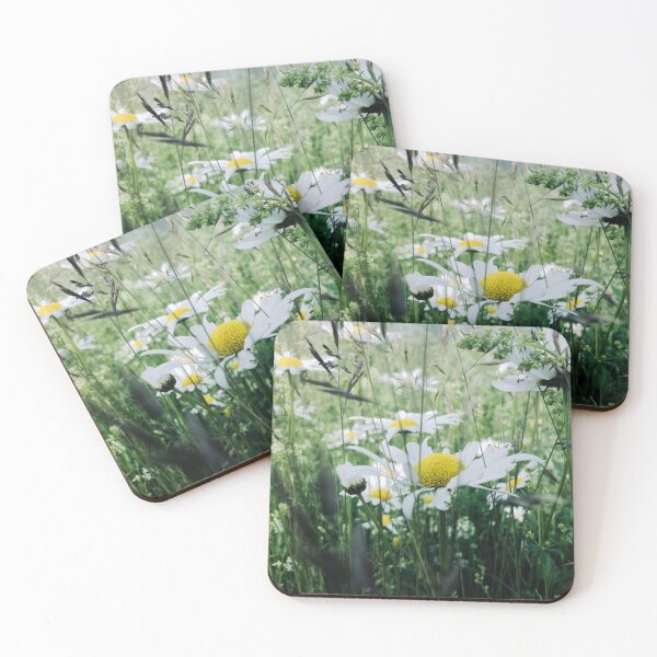 Item preview,  Waving daisies on the dikes of the Netherlands. frog perspective designed and sold by Jonnekesart.