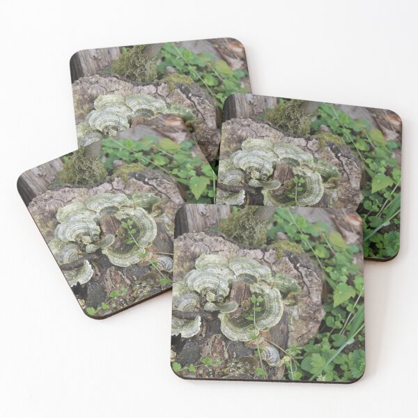 Item preview, Nature growing designed and sold by Photomania World.