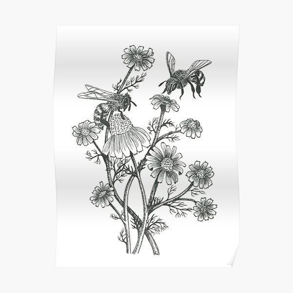 bees and chamomile on caramel background Classic T-Shirt Poster