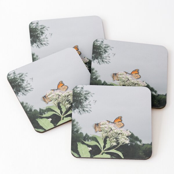 Item preview, Monarch butterflies at the Montreal botanical garden designed and sold by LunchboxGifts.