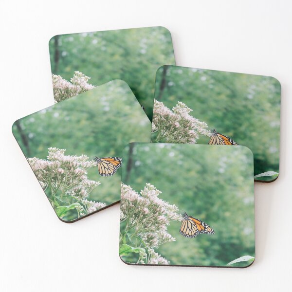 Item preview, Monarch butterfly at the Montreal botanical garden designed and sold by LunchboxGifts.