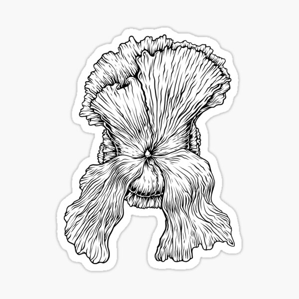 Platycerium Gifts Merchandise Redbubble