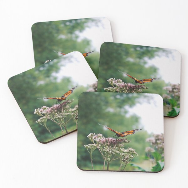 Item preview, Monarch butterfly at the Montreal botanical garden designed and sold by LunchboxGifts.