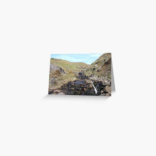 The Stream Greeting Card