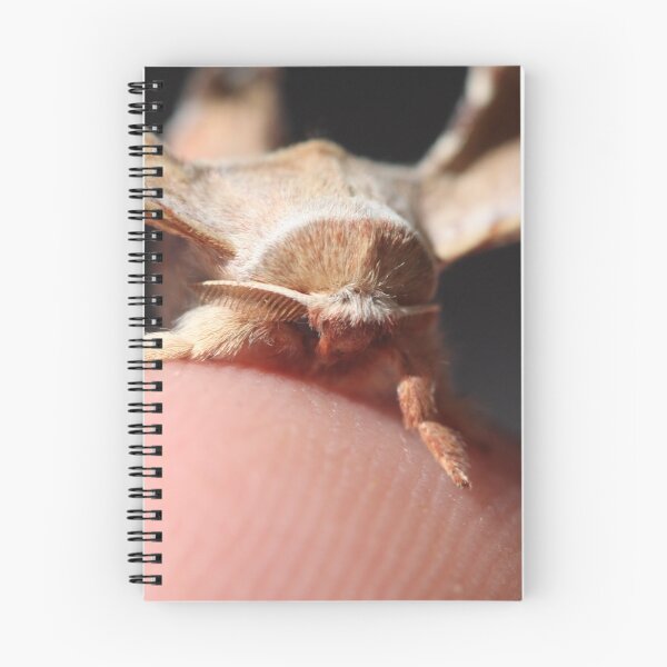 Item preview, Moths in Macro designed and sold by richeriley.