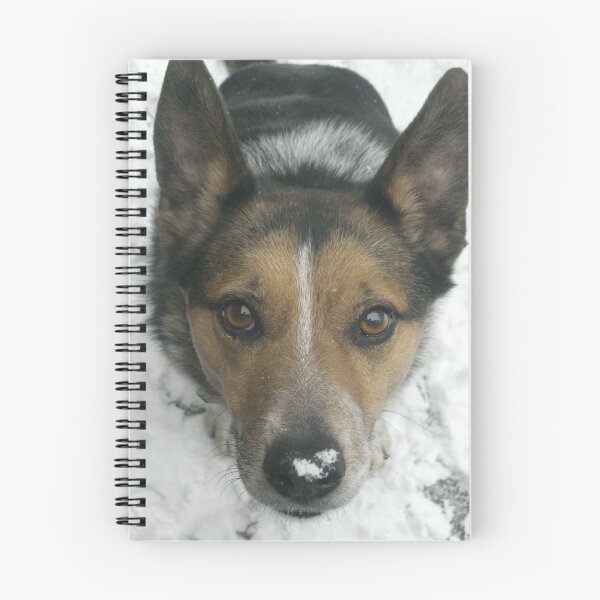 Item preview, Throw the ball, throw the ball!!!!!! designed and sold by Bramble.