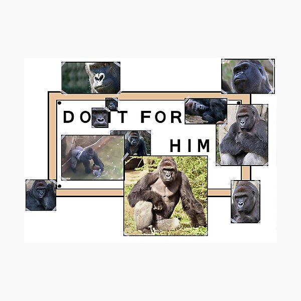 Harambe, Advance, gorilla, Giphy, hashtag, Leash, Internet meme, digital,  pixel Art, Rarity