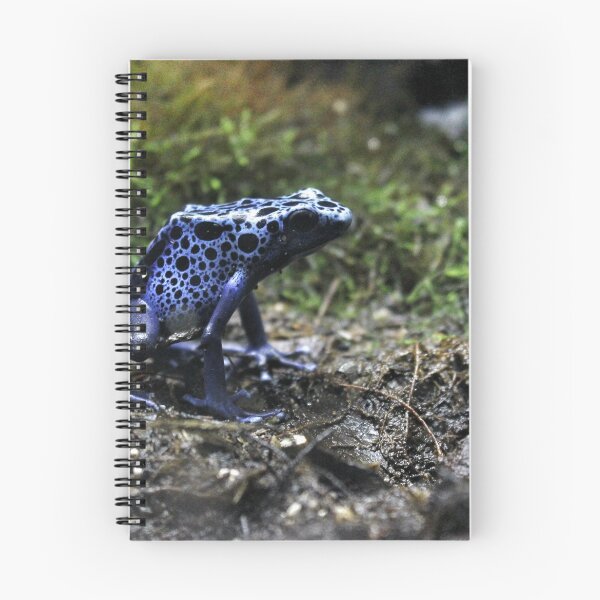 Item preview, dart frog designed and sold by ikerbg92.