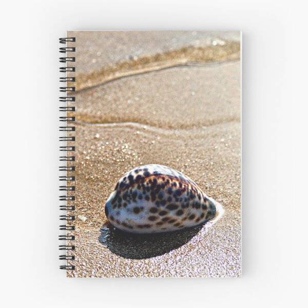 Item preview, Spotted Tiger Cowrie Shell Seashore Wet Sand designed and sold by worldways.