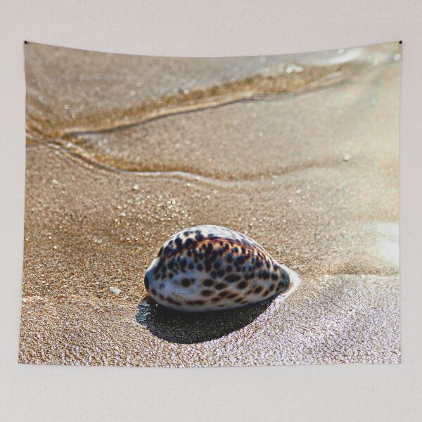 Item preview, Spotted Tiger Cowrie Shell Seashore Wet Sand designed and sold by worldways.