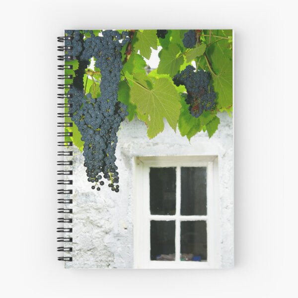 Item preview, Vines in the backyard designed and sold by Gaspar Avila.