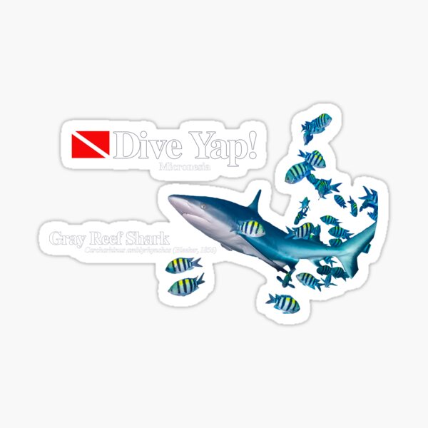 Diving with Friendly Gray Reef Shark Sticker