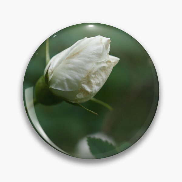 Item preview, And the summer is here. Midsummer rose designed and sold by Jouko Lehto Photography.