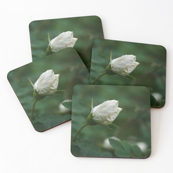 Item preview, And the summer is here. Midsummer rose designed and sold by Jouko Lehto Photography.