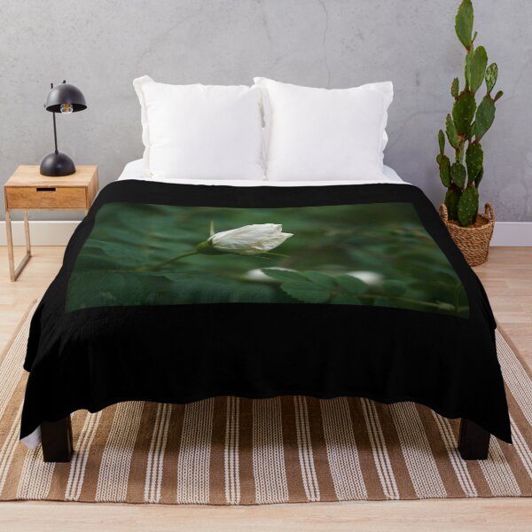 Item preview, And the summer is here. Midsummer rose designed and sold by Jouko Lehto Photography.