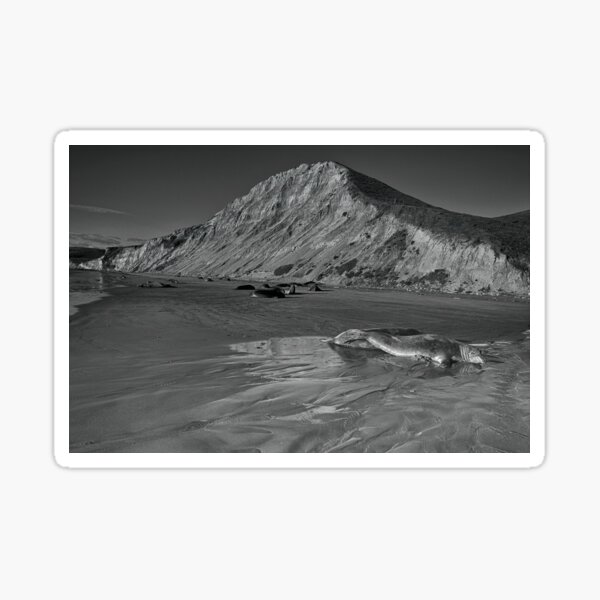 Drake's Beach - Point Reyes National Seashore Sticker