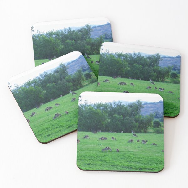Item preview, Roos in the Top Paddock designed and sold by KazM.