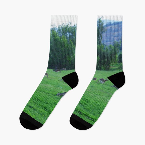 Item preview, Roos in the Top Paddock designed and sold by KazM.