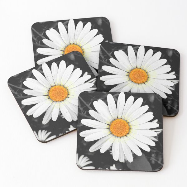 Item preview, Daisy designed and sold by Frank-Vincent.