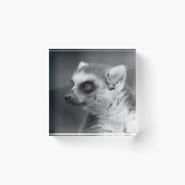 Item preview, Lemur Close-Up Selective Colouring designed and sold by rawshutterbug.