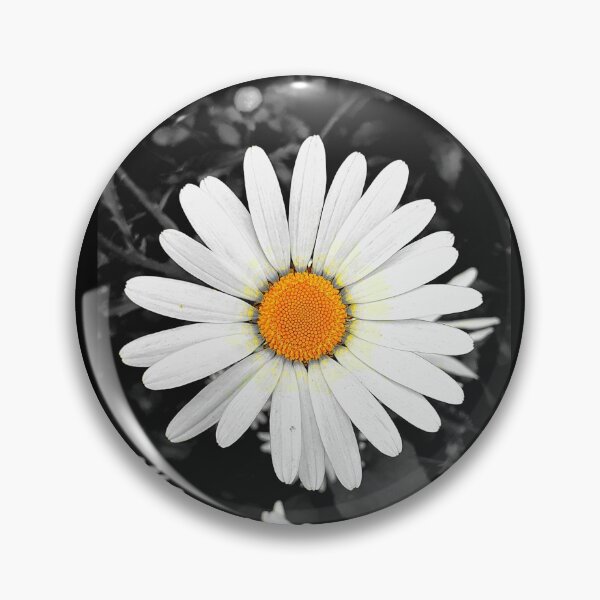 Item preview, Daisy designed and sold by Frank-Vincent.