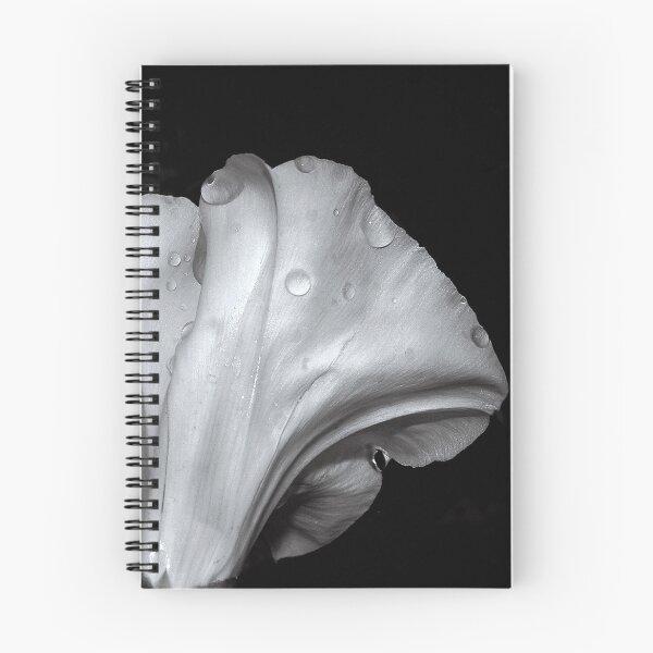 Item preview, Looking - A View designed and sold by Carl Gaynor.