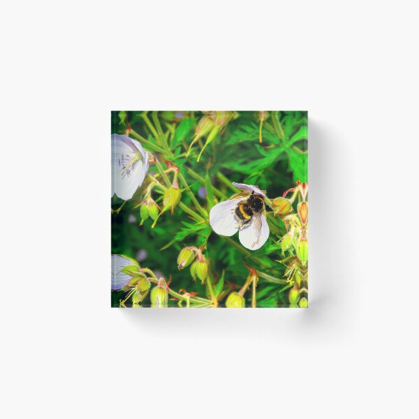 Item preview, Looking - A View  designed and sold by Carl Gaynor.