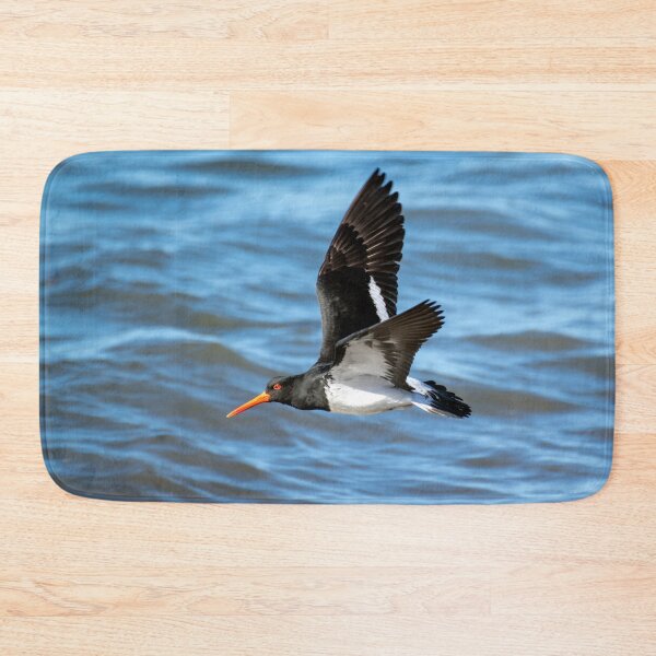 Item preview, Pied Oystercatcher in flight designed and sold by imaginethis.