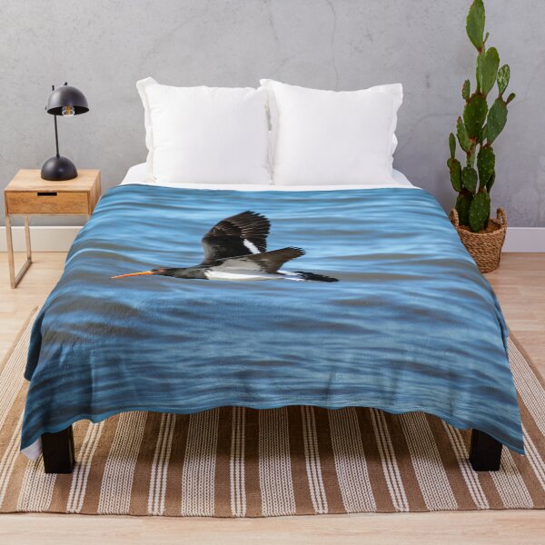Item preview, Pied Oystercatcher in flight designed and sold by imaginethis.