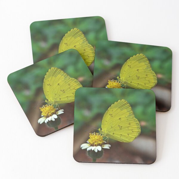 Item preview, Common emigrant butterfly designed and sold by VeenaNair23.