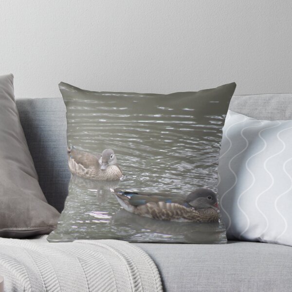 Item preview, Mandarin Ducks Female and Eclipse Male Photograph designed and sold by naturegallery.