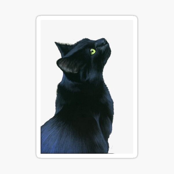 "cat wallpaper" Sticker for Sale by denidani97 Redbubble