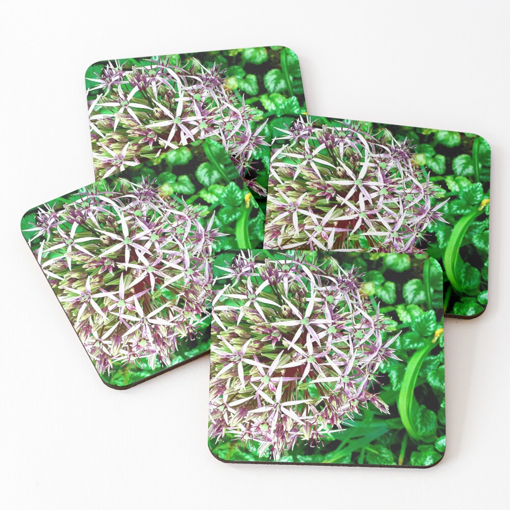 Item preview, Coasters (Set of 4) designed and sold by TNFNT.