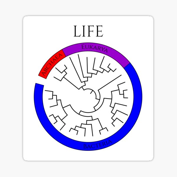 Circular Tree of Life Sticker