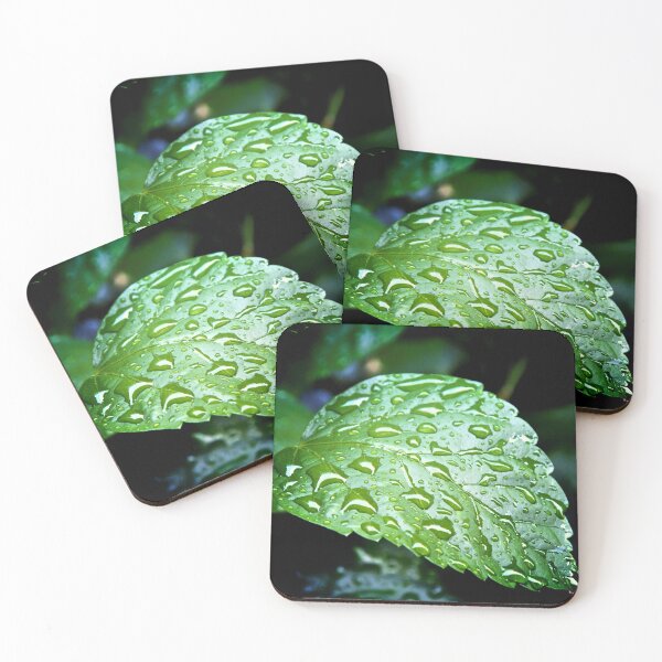 Item preview, Wet Curling Vibrant Green Leaf designed and sold by Stephen Orsillo.